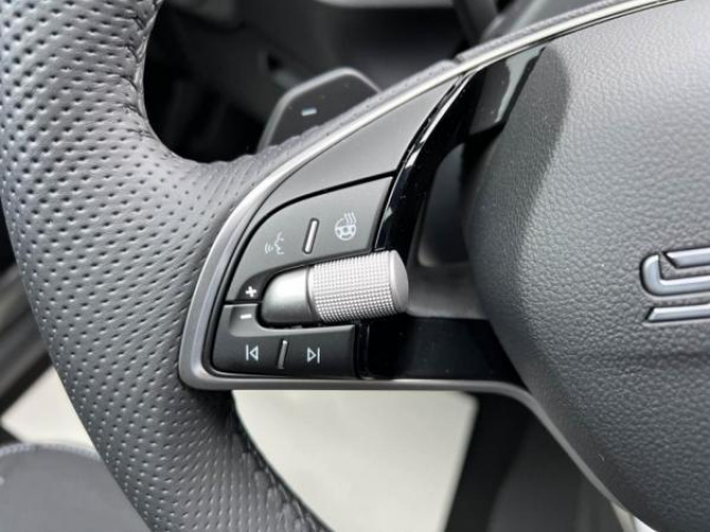 SKODA KAMIQ Monte Carlo 1.0 TSI 116cv DSG7 avec Toit Panoramique + Full LED MATRIX + NEUF 0KM