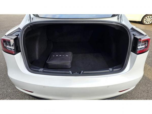 TESLA MODEL 3 RWD Standard Plus 50kWh